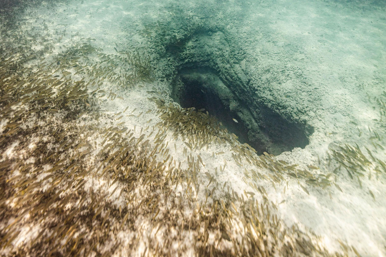 Esperienza di snorkeling in barca 5 in 1 a Cancun