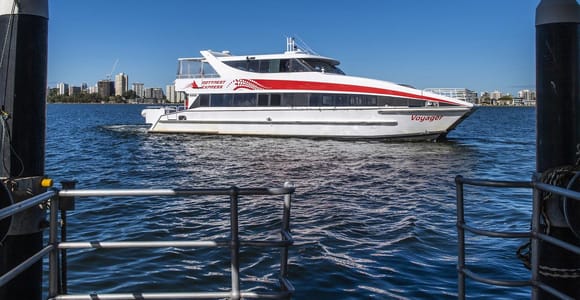 Rottnest Island: Premium Ferry Service with Cheese & Wine