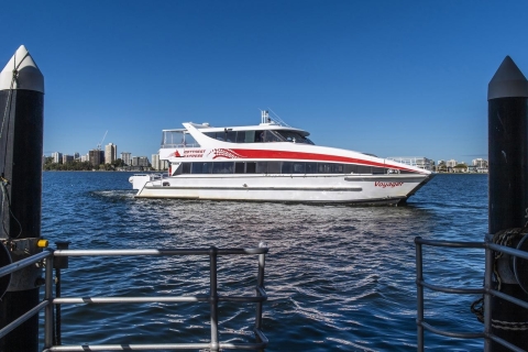 Île Rottnest : Service de ferry haut de gamme avec fromage et vinL'île de Rottnest : Service de ferry haut de gamme au départ de Perth
