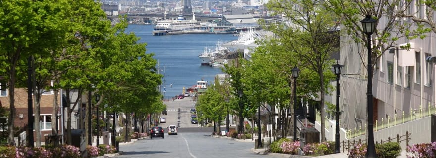 Hakodate : visite d'une demi-journée avec un guide agréé par le gouvernement