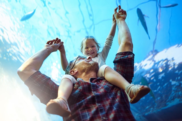 Mexico City: Admission to the Inbursa Aquarium, Sea Life, and Optional Virtual Reality