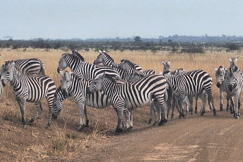 Nairobi : Visite du centre des girafes et du musée Karen Blixen