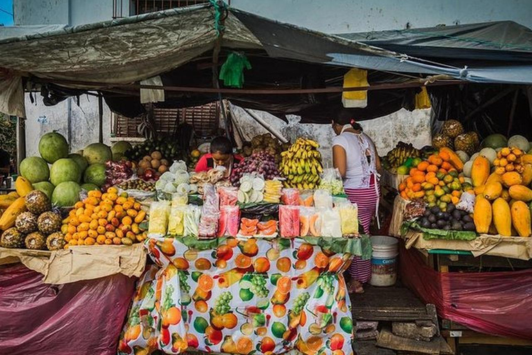 San Salvador : Journée entière sur la route de Las Flores et dans une ferme de café