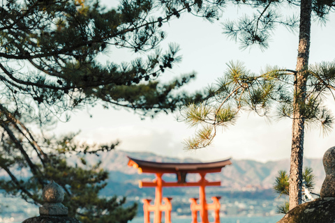 Osaka/Kyoto/Kobe/ Hiroshima & Miyajima Island Day Trip