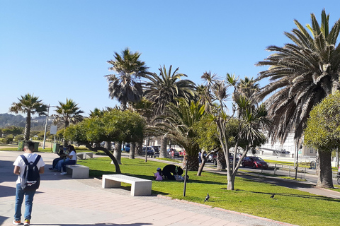 比尼亚德尔马、雷尼亚卡和康康之旅