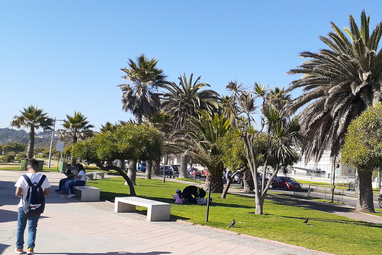 比尼亚德尔马、雷尼亚卡和康康之旅