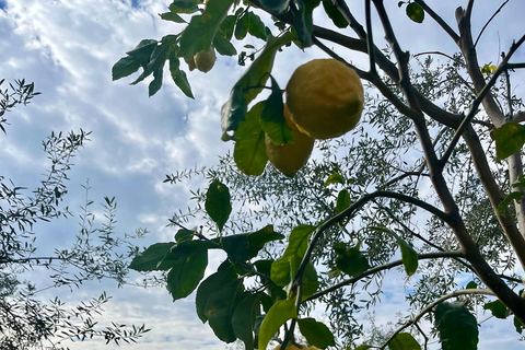 Sorrento: Cooking with a Local Chef & Wine Pairing by the Sea