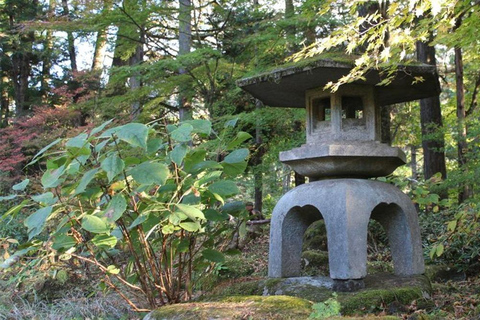 Nikko Private Day Trip with English Driver-Guide From Tokyo Nikko Private Day Trip with English Driver-Guide