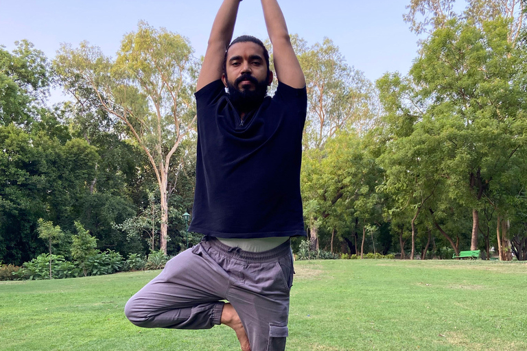 Nuova Delhi: Yoga rilassante al sole nei giardini di Lodhi