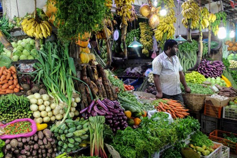 Kandy to Ella Transfer With Lakes, Falls & Botanical Garden