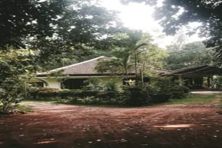 Traditionelle Katamaranfahrt mit Negombo Stadt Highlights