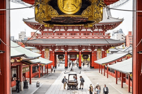 Tokio: Prywatna wycieczka po mieście Tokio w luksusowym transporcieTokio: Wycieczka prywatna po mieście Tokio w luksusowym transporcie