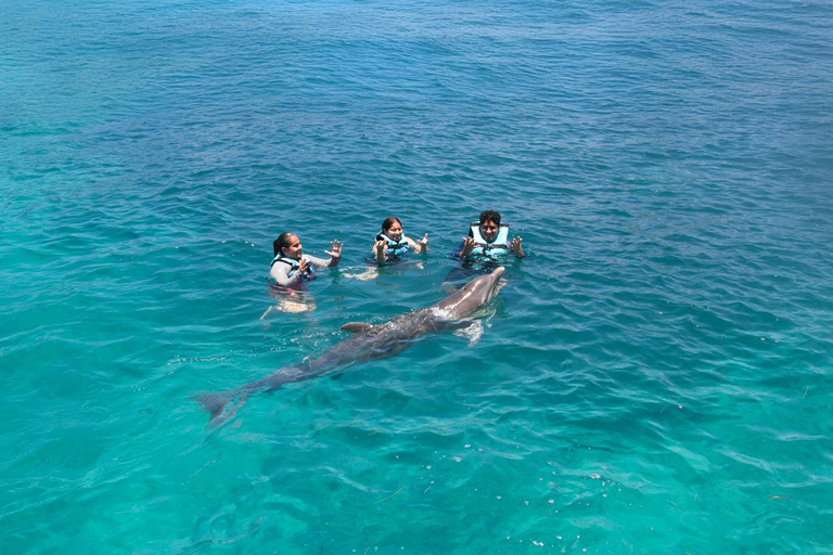 Cancun: dolfijnen en Garrafon Reef Park met buffet