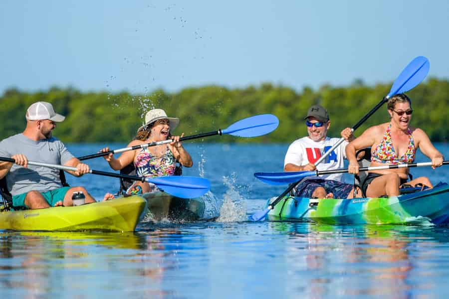 Shell Key: Geführte Kajak-Tour durch das Mangrovenschutzgebiet mit Capt Yak. Foto: GetYourGuide Shell Key: Geführte Kajak-Tour durch das Mangrovenschutzgebiet mit Capt Yak. Foto: GetYourGuide
