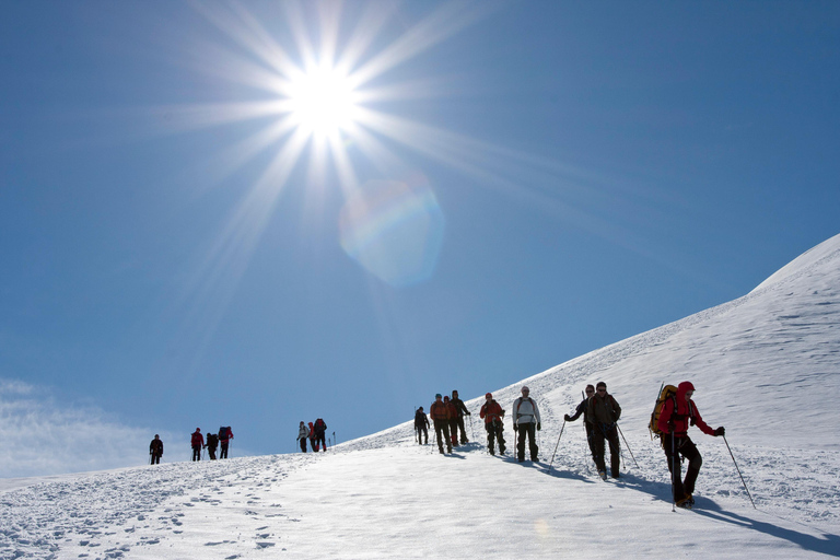 From Seljavallalaug: Eyjafjallajökull Volcano Summit Hike