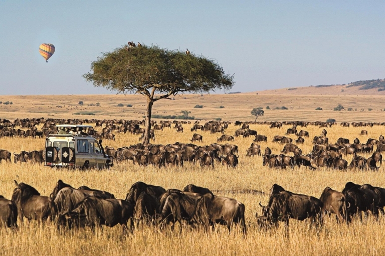 12-dniowe safari Big Five w Kenii i Tanzanii na jeepie 4x412-dniowe safari w Kenii i Tanzanii dla Wielkiej Piątki