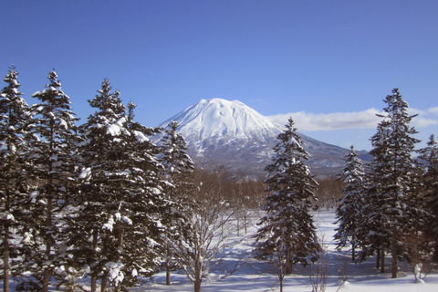 Hokkaido Niseko Skidåkning Dagstur