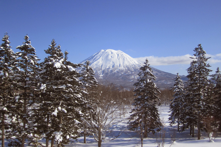 Journée de ski à Hokkaido Niseko