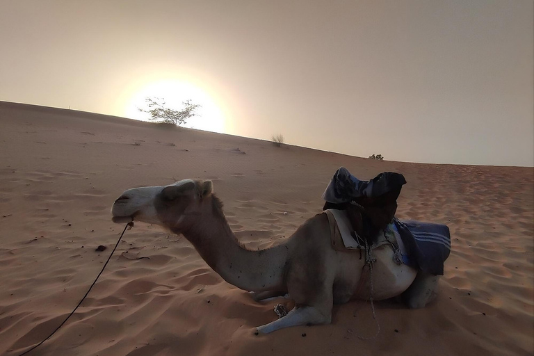 Lompoul Desert: Guided Walk And Overnight Stay In The Desert