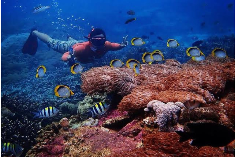 Nusa Penida: Island Sightseeing West & East Coast Day Trip Car Charter 8 Hours Explore West Coast