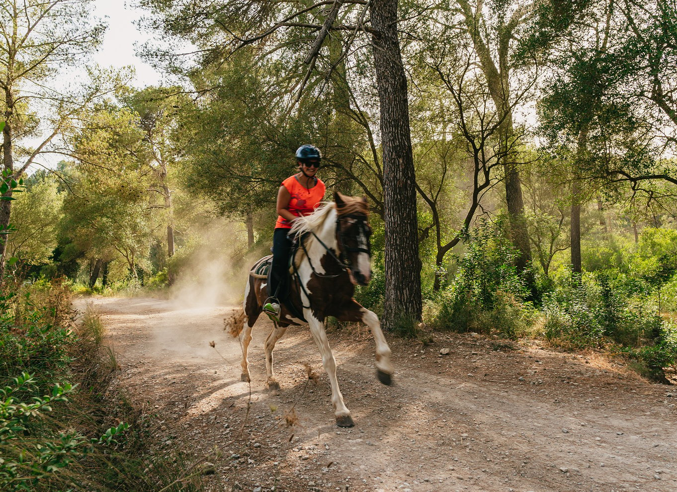 Mallorca: Oplevelse på hesteryg med mulighed for mad