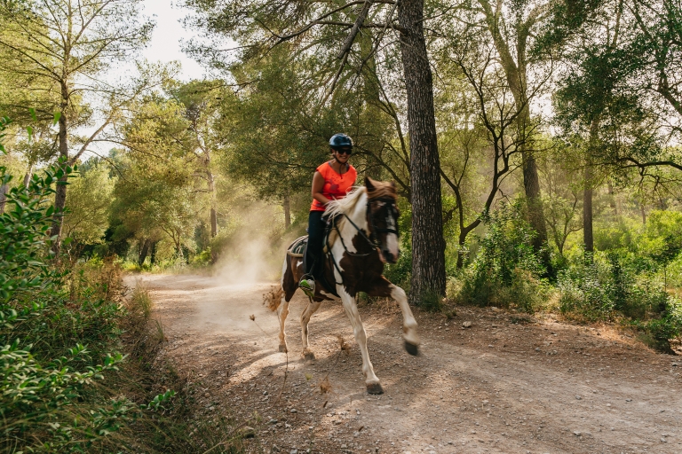 Mallorca: Experiencia de equitación de montaña con opción de brunchExcursión a caballo de 1 hora con almuerzo y recogida