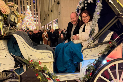 NYC: Central Park Christmas Lights Horse-Drawn Carriage Ride