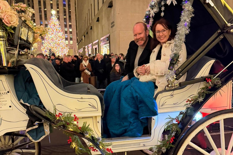NYC: Central Park Christmas Lights Horse-Drawn Carriage Ride
