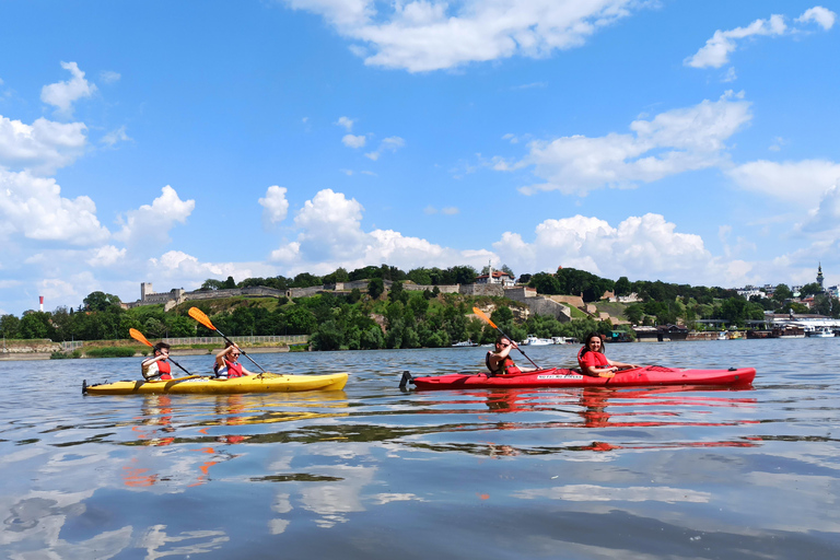 Belgrade: Great War Island Kayak Tour with Photos