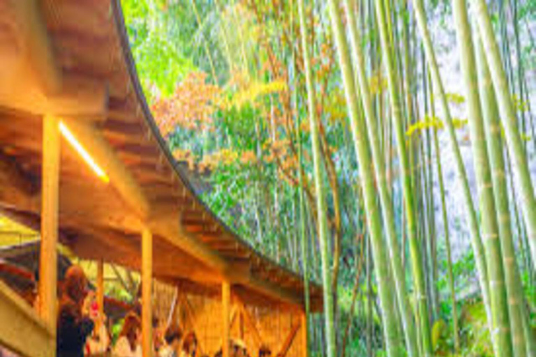 Tokyo: 2-Day Guided Tour with Kamakura & Hotel Pickup