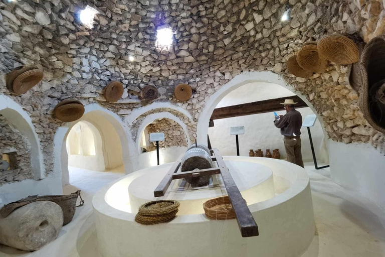 Authentic Djerba: Underground Oil Mill, Palm Grove, Pottery & Mosque
