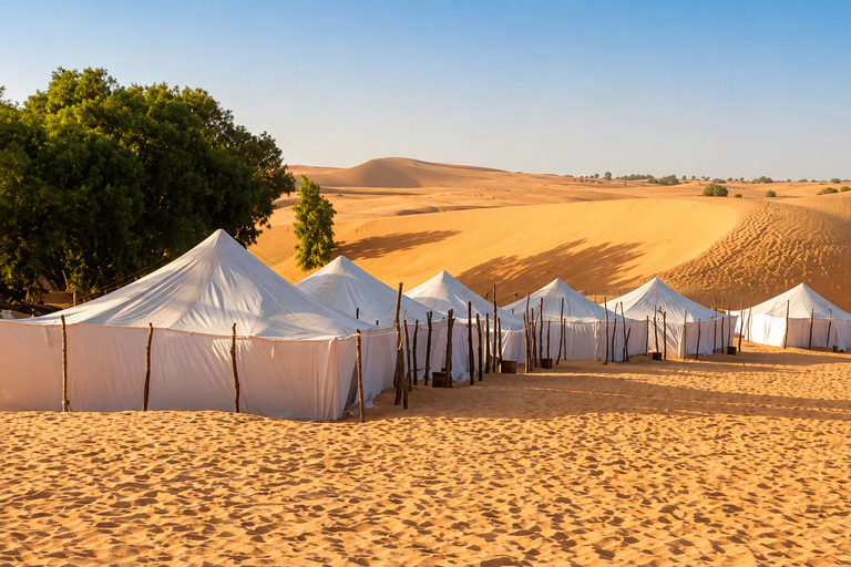 From Dakar: Overnight in the Lompoul Desert, Dromedary, and 4x4 From Dakar: Overnight in the Lompoul Desert, Camel Ride, and 4WD