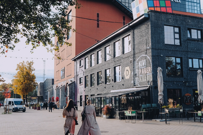 From Tallinn: Private tour around Tallinn city with minivan