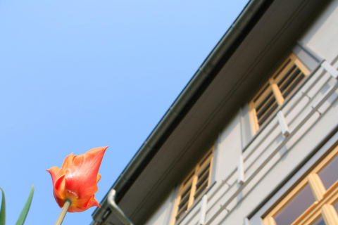 Rudolstadt: Schillernde Geheimnisse – Walking Tour with the Love Letter Messenger Dazzling Secrets - Walking Tour with the Love Letter Messenger