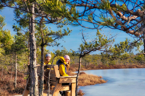 Great Ķemeri Bog & Swamp Forest Hiking Adventure Shared group tour