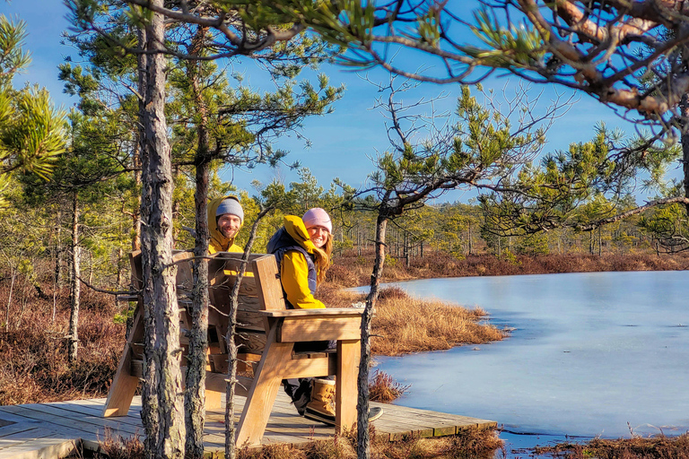 Great Ķemeri Bog & Swamp Forest Hiking Adventure Shared group tour
