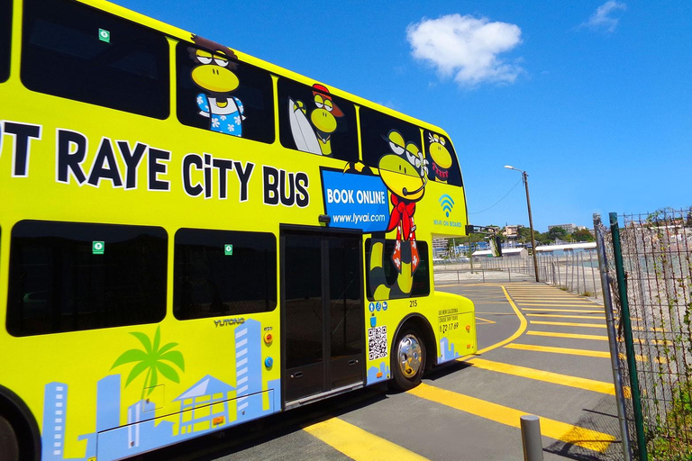 Noumea: Hop-On Hop-Off Bus from Cruise Ship Terminal