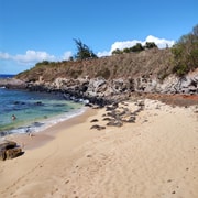 Maui: Halfway to Hana Black Sand Beach & Turtles Tour