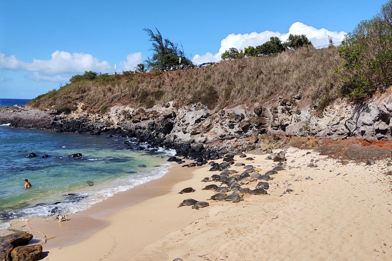 Maui: Halfway to Hana Black Sand Beach & Turtles Tour