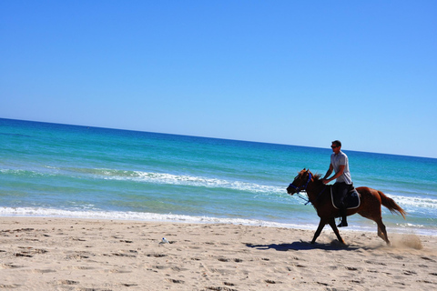 DJERBA : Randonnée à cheval privée (2h).