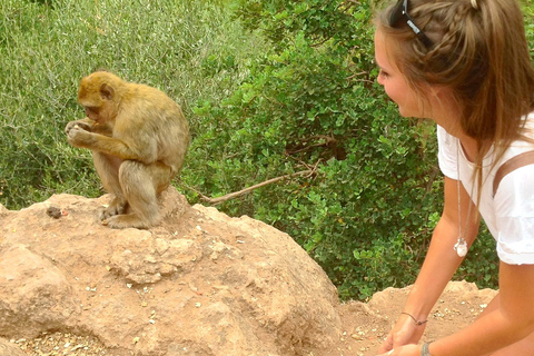 Marrakech: Ouzoud Waterfalls Guided Day Trip with Boat Ride Guided Tour with Boat Ride