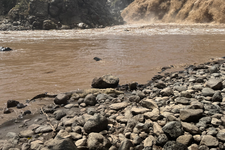 Addis Ababa: Awash National Park 2-Day Safari & Volcano Hike