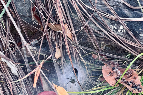 Chiang Mai 2-Day Adventure: Trekking, Tubing & Waterfalls 1-Night Jungle Stay - Trek, Tubing & Waterfall