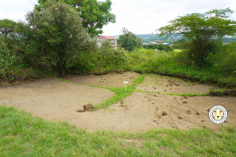 Nairobi: Kariandusi & Hyrax Hill Prehistoric Day Tour