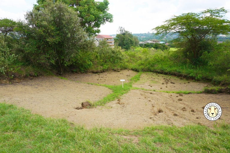 Nairobi: Kariandusi & Hyrax Hill Prehistoric Day Tour