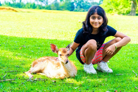 Nara: tour guiado a pie con ciervos y templos