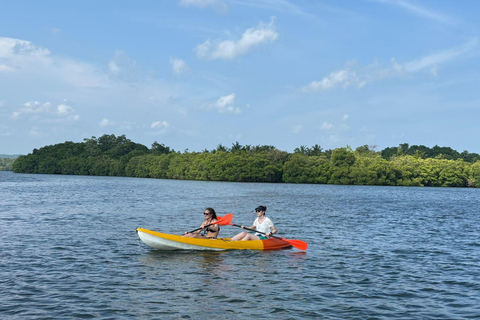 Bentota/Beruwala: Galle Fort, Koggala Lake & Kayaking Tour