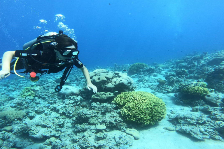 Cartagena: Wycieczka po Playa Blanca i przygoda w namorzynach