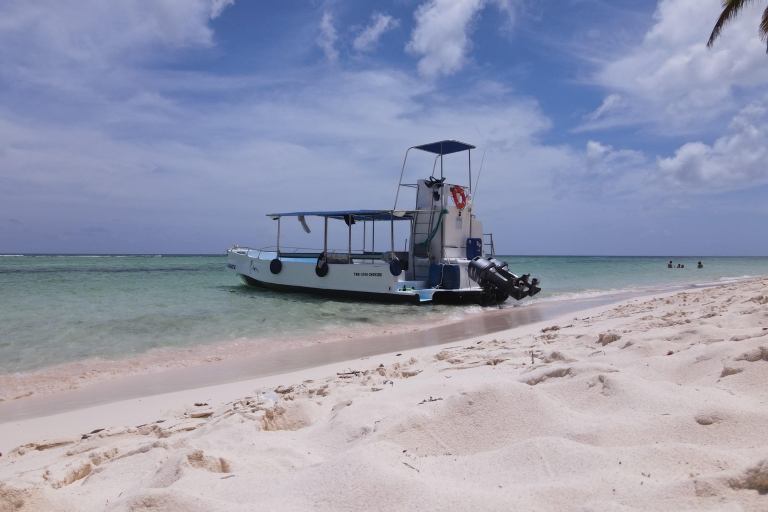 Est de la République dominicaine : excursion d'une journée sur l'île de SaonaPrise en charge à La Romana à n'importe quelle adresse