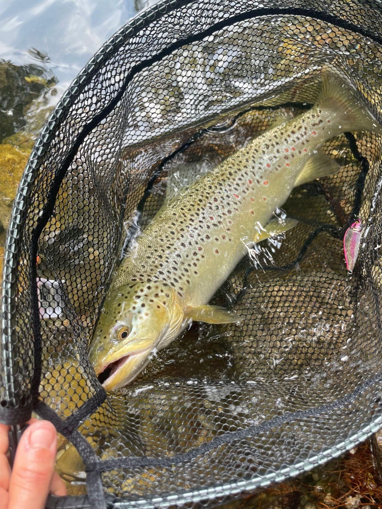 Bassano del Grappa: Angelausflug am Fluss Brenta